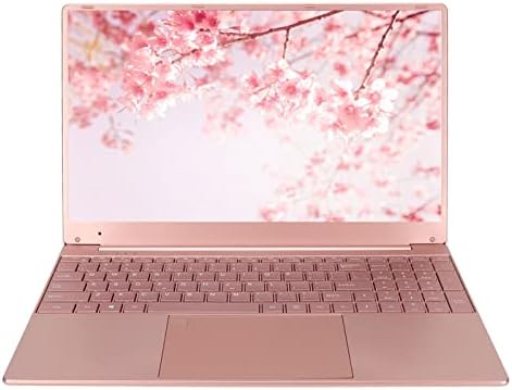 Portátil de 15,6 Pulgadas, Portátil con Pantalla IPS de 2K, 12 GB de RAM LPDDR4, para Procesador Intel Celeron N5095, Ordenador Portátil con Windows 11, WiFi 2,4G + 5G, con Huella Dactilar(12+1 TB)