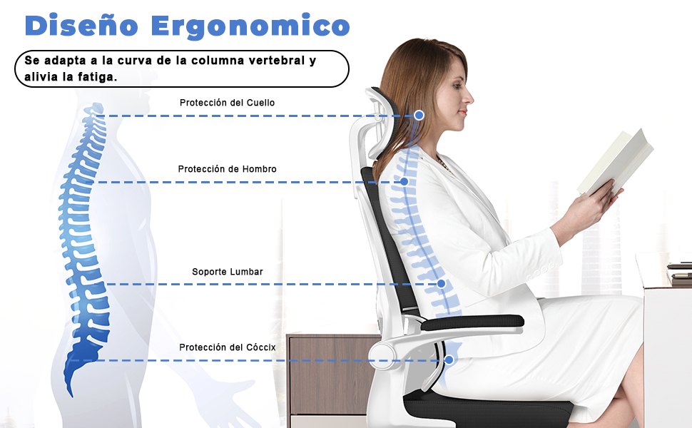 Silla de Oficina Ergonómica con Soporte Lumbar